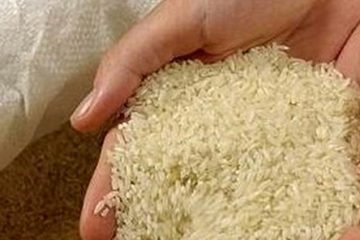 افزایش ۱۰۰ درصدی قیمت برنج از شالیزار تا بازار