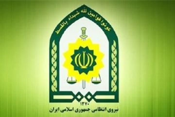 بازداشت محسن افشانی تایید شد