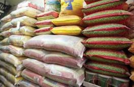 در فصل برداشت، به برنج وارداتی نیاز نداریم/ برنج داخلی ارزان می‌شود