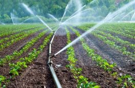 ۲میلیون و ۱۰۰ هزار هکتار از زمین‌های کشاورزی به سیستم‌های نوین آبیاری مجهزشدند