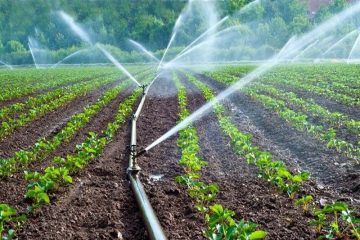 ۲میلیون و ۱۰۰ هزار هکتار از زمین‌های کشاورزی به سیستم‌های نوین آبیاری مجهزشدند
