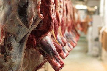 قیمت گوشت گوسفندی؛ ۹۸ هزار تومان