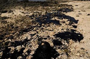 طغیان آلودگی‌های نفتی در خلیج‌فارس