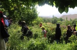 تبریز دارای ظرفیت های بالقوه برای گردشگری کشاورزی شهری است