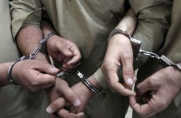 دستگیری ۷ سارق حرفه ای در مراغه