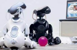 نخستین شتاب دهنده تخصصی رباتیک کشور در استان آذربایجان شرقی  راه اندازی می‌شود