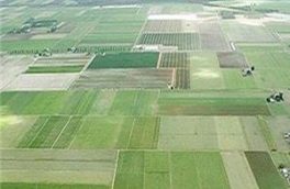 از ۱۳ هزار و ۷۴۸ هکتار از اراضی کشاورزی در آذربایجان شرقی رفع تداخل شد