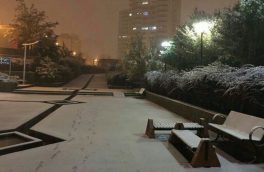 تبریز هم شاهد بارش  برف زمستانی  شد