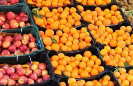 ۲۷۰۰ تن میوه شب عید در آذربایجان شرقی خریداری شد
