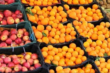 ۲۷۰۰ تن میوه شب عید در آذربایجان شرقی خریداری شد