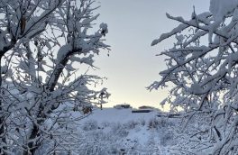 بارش برف از امروز تمام نواحی آذربایجان شرقی را فرامی‌گیرد