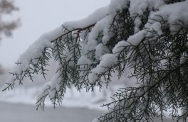 بستان آباد با ۲۱ درجه زیر صفر در ۲۴ ساعت گذشته  سردترین شهر کشور شد