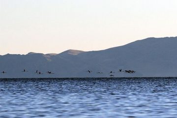 تراز آب دریاچه ارومیه ۲ سانتی‌متر نسبت به ابتدای سال آبی جاری افزایش یافت