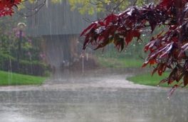 بارش شدید باران در آذربایجان‌شرقی از روز سه شنبه آغاز می شود