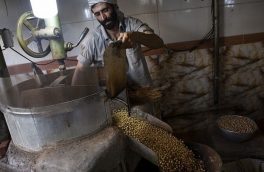 ایران دومین تولیدکننده نخودچی در دنیا