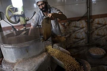 ایران دومین تولیدکننده نخودچی در دنیا
