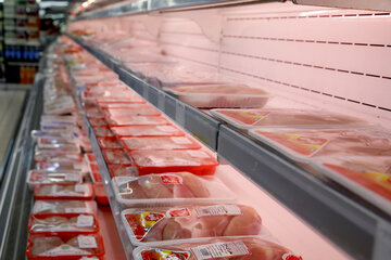 وزارت صنعت: قیمت گوشت مرغ تازه ۹.۸ درصد کاهش یافت