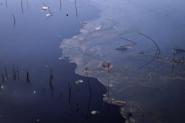 نشت نفت رودخانه «تنگ تلخ» رامهرمز را آلوده کرد
