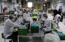 وزیر صنعت: تولید مواد ضدعفونی کننده و بهداشتی افزایش ۲ برابری یافت
