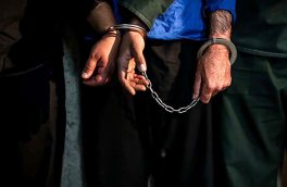 دستگیری ۱۸ سارق حرفه ای با ۲۴ فقره سرقت در کاشان