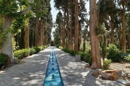 سلامت درختان اصفهان با توموگرافی رصد می شود/ آزادسازی جاده فرزانگان با ۲۰۰ میلیارد تومان اعتبار