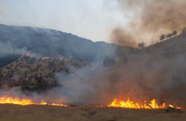۹۰ درصد از آتش‌سوزی مراتع مشجر مشرف به جنگل‌های ارسباران خاموش شد