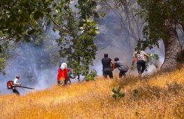 آتش دوباره  به جان جنگل های ارسباران آذربایجان شرقی افتاد