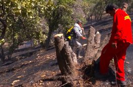 مهار آتش در جنگل های ارسباران