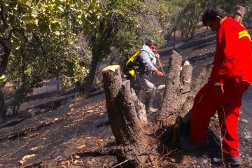 مهار آتش در جنگل های ارسباران