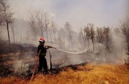 آتش‌نشانان تبریزبرای اطفای آتش سوزی جنگل‌های ارسباران اعزام شدند