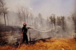 آتش‌سوزی در مراتع مشجر مشرف به جنگل‌های ارسباران مهار شد