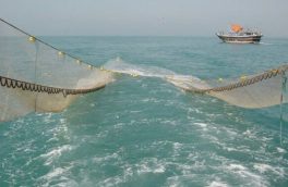 ۶ شناور در مناطق دریایی خوزستان به خاطر صید “ترال ” توقیف شدند