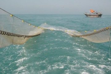 ۶ شناور در مناطق دریایی خوزستان به خاطر صید “ترال ” توقیف شدند