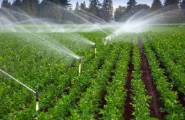 آبیاری نوین مدیریت بهینه مصرف آب را در بخش کشاورزی را دارد