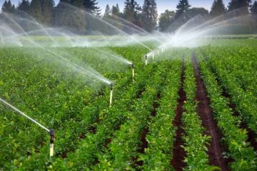 آبیاری نوین مدیریت بهینه مصرف آب را در بخش کشاورزی را دارد