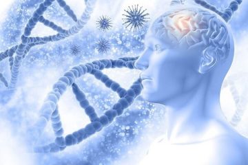 مهندسی ژنتیک سلول های مغز راهی برای جلوگیری از  ایجاد آلزایمر