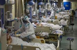 طی ۲۴ ساعت گذشته، ۳۱۹ بیمار کووید۱۹ در کشور جان باختند