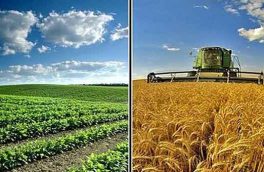 دولت باید طی روزهای آتی شورای قیمت گذاری و اتخاذ سیاست های حمایتی محصولات اساسی کشاورزی را تشکیل دهد