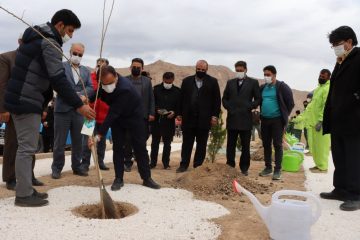 اقدام قابل تحسین “شهردار شاهرود” در روز درختکاری؛/زنده نگهداشتن یاد پدر با کاشت نهال
