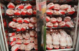 تامین ۱۵۰۰ تن مرغ برای توزیع در شهر تهران