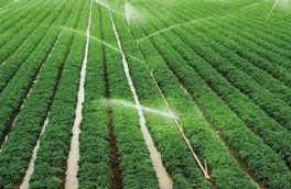 افتتاح چهار هزار و ۶۳۵ طرح کشاورزی با دستور رییس جمهوری