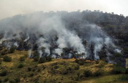 آتش سوزی گسترده در ۱۰ هکتار از “پارک ملی بمو” در شیراز