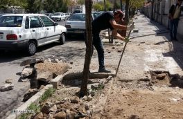 اجرای ۳ عملیات هم زمان بهسازی پیاده رو خیابان پاستور جدید از سوی شهرداری منطقه ۲ تبریز
