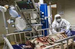 طی ۲۴ ساعت گذشته، ۱۸۴ بیمار کووید۱۹ در کشور جان خود را از دست دادند
