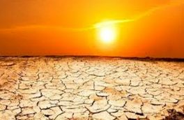 ۸۰ درصد استان در وضعیت خشکسالی شدید قرار دارد