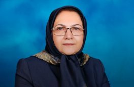 نماینده سازمان ملی استاندارد ایران به عنوان یکی از زنان موفق درحرفه خود معرفی شد
