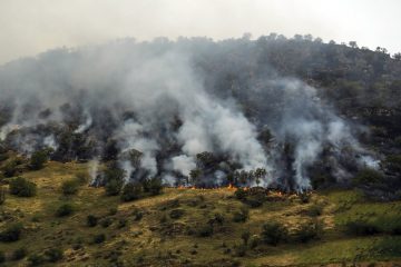 شناسایی ۸۶ کانون مستعد آتش سوزی در عرصه های طبیعی ایلام