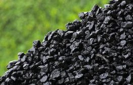قیمت زغال سنگ ۶۴ درصد  افزایش یافت