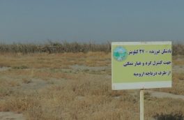 از سال ۹۳ تاکنون ۱۴ میلیارد تومان برای کنترل ریزگردهای نمکی دریاچه ارومیه در عجب­شیر هزینه شد