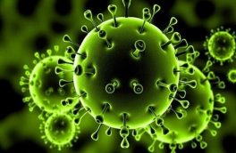 تولید داروی جدید برای مهار ویروس کووید ۱۹ و انواع مختلف آن
